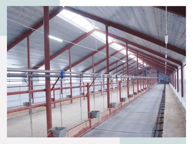 Строительство коровников в Пугачеве от 610 руб.