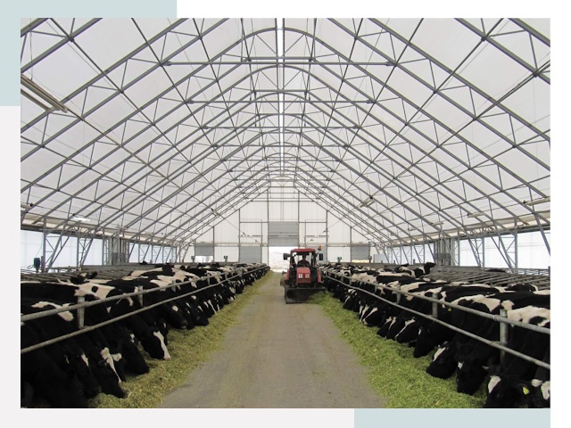 Тентовые коровники в Пугачеве от 610 руб. - Надежно и доступно